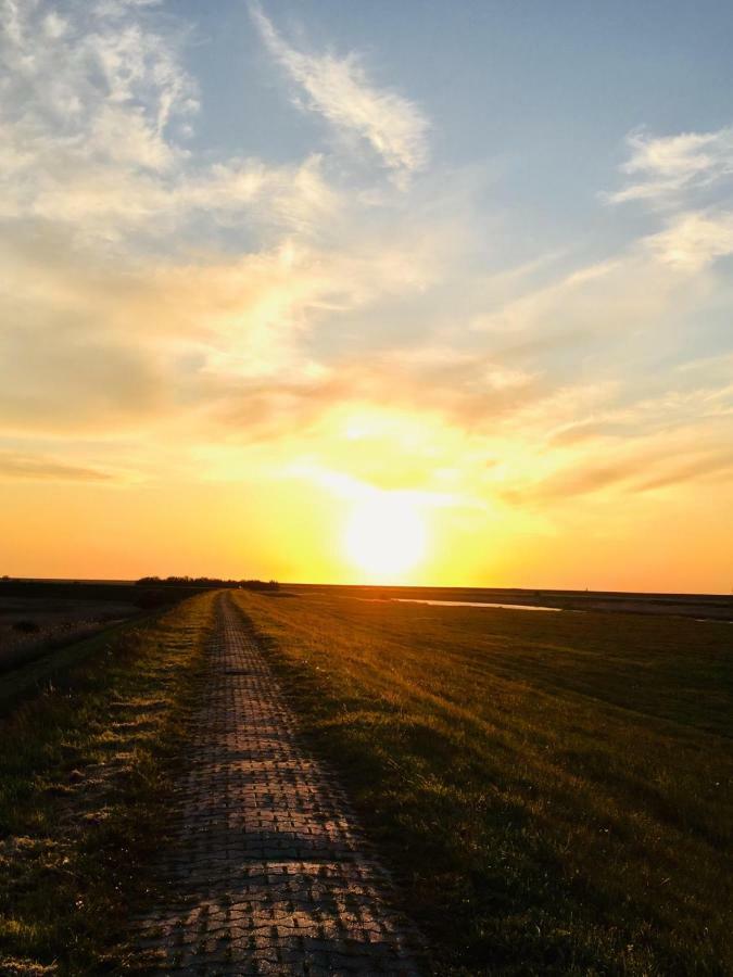 Moewennest II Lägenhet Emden Exteriör bild